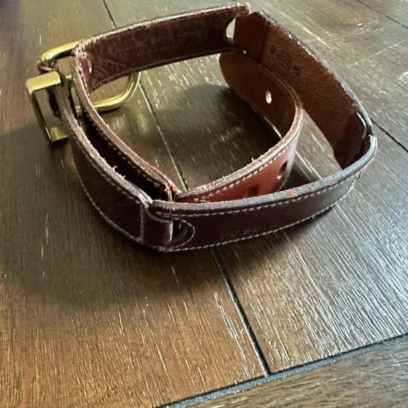 Fossil belt - Picture 10 of 10